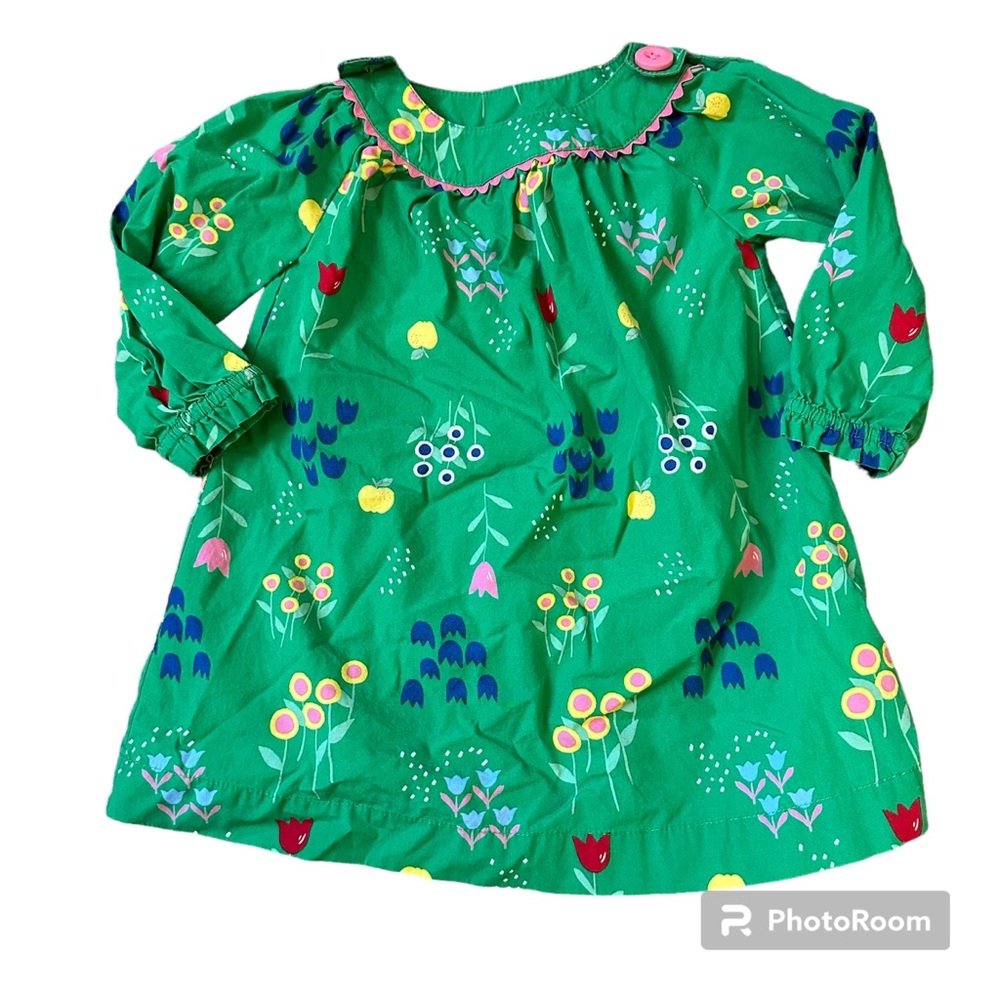 Hanna Andersson Green Floral Dress